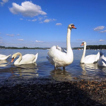 River Side Suites Belgrad Zewnętrze zdjęcie
